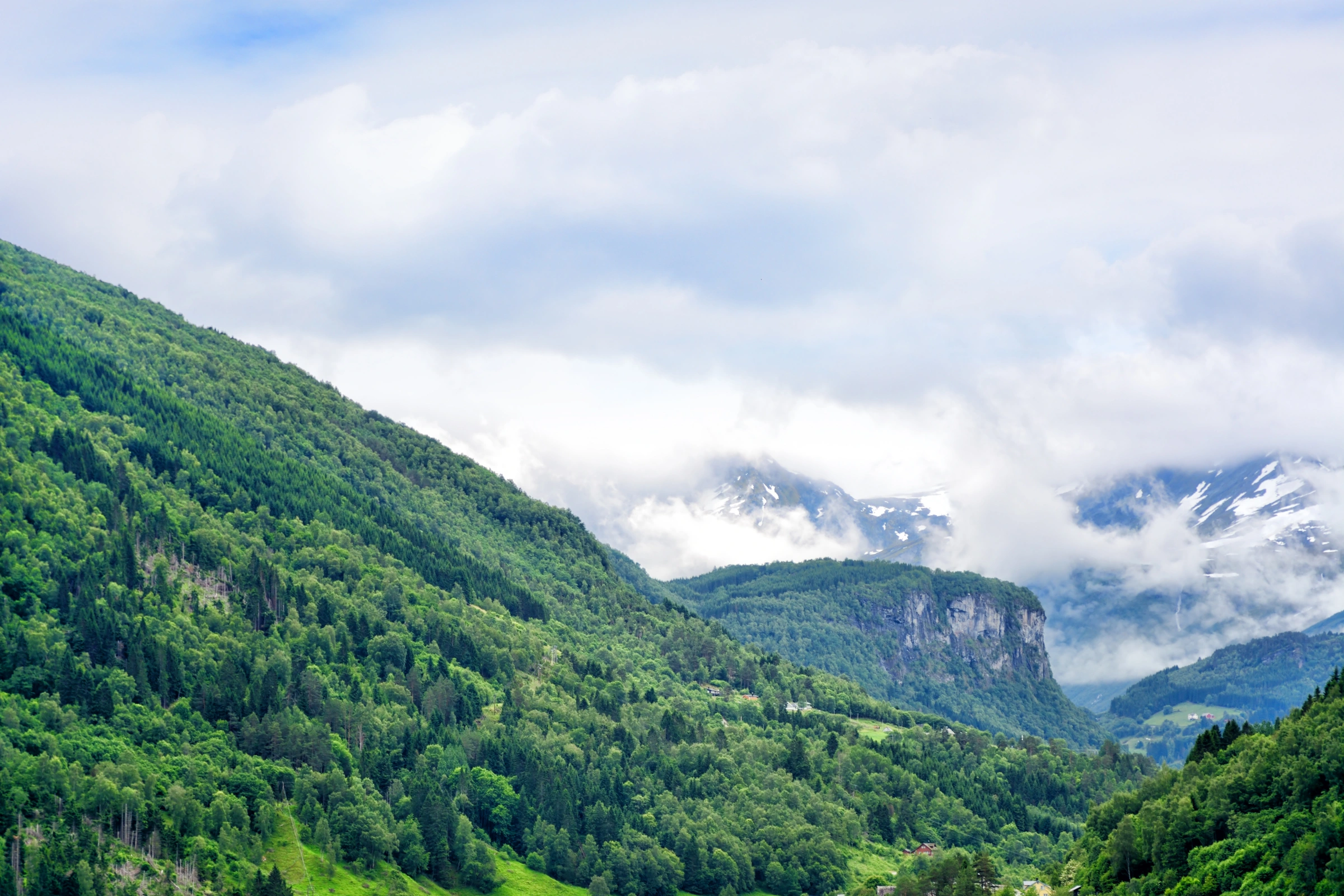 Eidsdal[1].webp